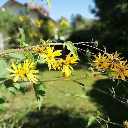 Fewo Happy Place In Traumhafter Lage See Nah Utting am Ammersee Exterior photo